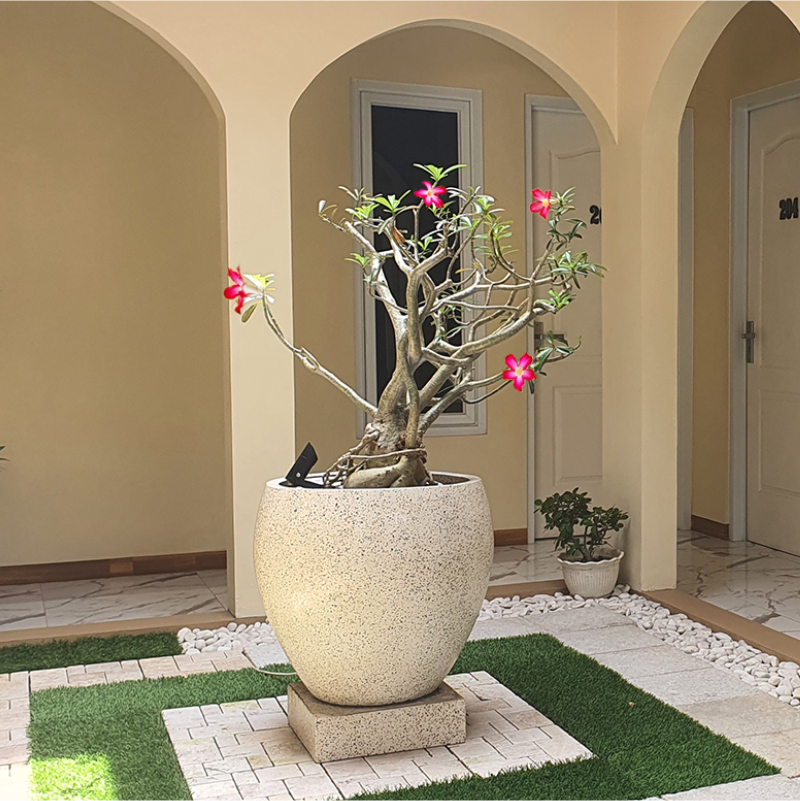 Pomah Guesthouse Dewi Sartika - Gambar 16